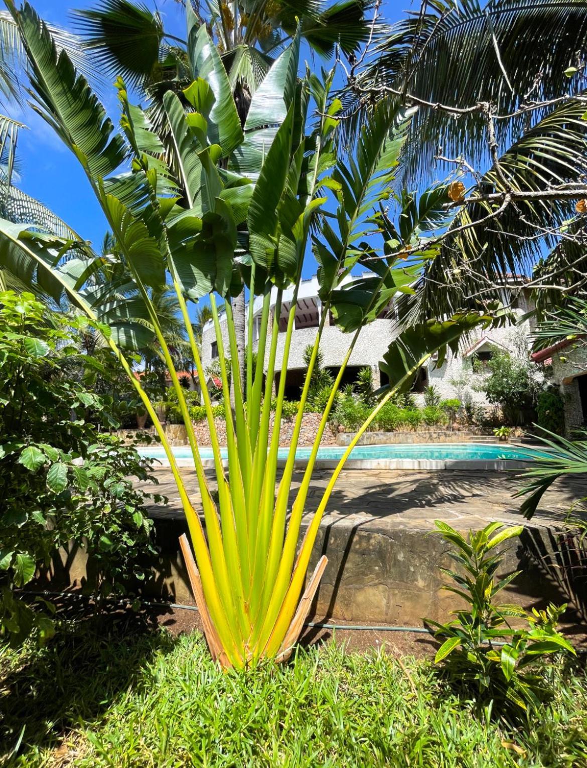Tembo Village Watamu Exterior foto